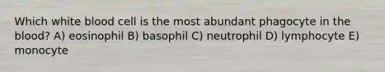 Which white blood cell is the most abundant phagocyte in the blood? A) eosinophil B) basophil C) neutrophil D) lymphocyte E) monocyte