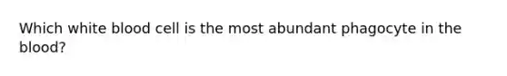 Which white blood cell is the most abundant phagocyte in the blood?
