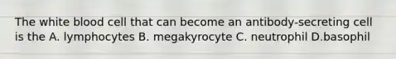 The white blood cell that can become an antibody-secreting cell is the A. lymphocytes B. megakyrocyte C. neutrophil D.basophil