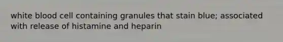 white blood cell containing granules that stain blue; associated with release of histamine and heparin