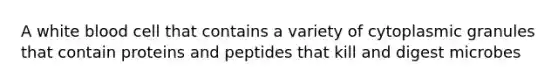 A white blood cell that contains a variety of cytoplasmic granules that contain proteins and peptides that kill and digest microbes