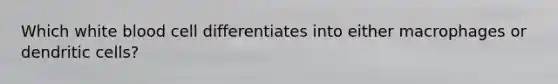 Which white blood cell differentiates into either macrophages or dendritic cells?