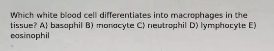 Which white blood cell differentiates into macrophages in the tissue? A) basophil B) monocyte C) neutrophil D) lymphocyte E) eosinophil