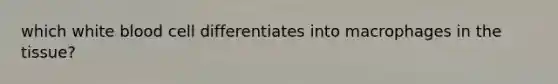 which white blood cell differentiates into macrophages in the tissue?