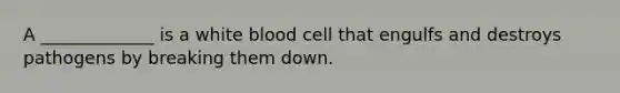 A _____________ is a white blood cell that engulfs and destroys pathogens by breaking them down.