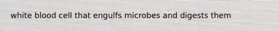 white blood cell that engulfs microbes and digests them