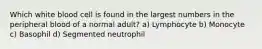 Which white blood cell is found in the largest numbers in the peripheral blood of a normal adult? a) Lymphocyte b) Monocyte c) Basophil d) Segmented neutrophil