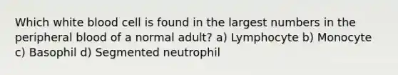 Which white blood cell is found in the largest numbers in the peripheral blood of a normal adult? a) Lymphocyte b) Monocyte c) Basophil d) Segmented neutrophil