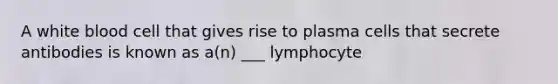 A white blood cell that gives rise to plasma cells that secrete antibodies is known as a(n) ___ lymphocyte