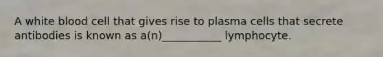 A white blood cell that gives rise to plasma cells that secrete antibodies is known as a(n)___________ lymphocyte.