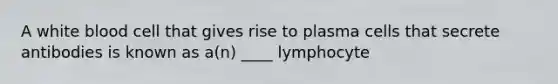 A white blood cell that gives rise to plasma cells that secrete antibodies is known as a(n) ____ lymphocyte