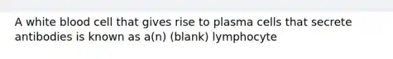 A white blood cell that gives rise to plasma cells that secrete antibodies is known as a(n) (blank) lymphocyte