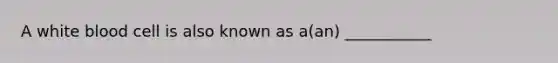 A white blood cell is also known as a(an) ___________