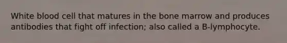 White blood cell that matures in the bone marrow and produces antibodies that fight off infection; also called a B-lymphocyte.