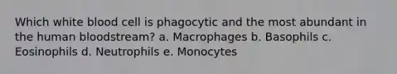 Which white blood cell is phagocytic and the most abundant in the human bloodstream? a. Macrophages b. Basophils c. Eosinophils d. Neutrophils e. Monocytes