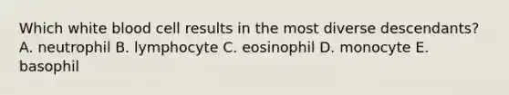 Which white blood cell results in the most diverse descendants? A. neutrophil B. lymphocyte C. eosinophil D. monocyte E. basophil