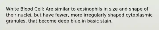 White Blood Cell: Are similar to eosinophils in size and shape of their nuclei, but have fewer, more irregularly shaped cytoplasmic granules, that become deep blue in basic stain.