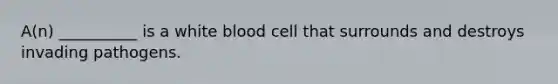 A(n) __________ is a white blood cell that surrounds and destroys invading pathogens.