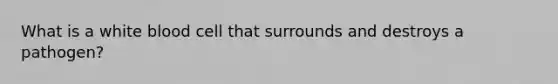 What is a white blood cell that surrounds and destroys a pathogen?