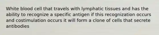 White blood cell that travels with lymphatic tissues and has the ability to recognize a specific antigen if this recognization occurs and costimulation occurs it will form a clone of cells that secrete antibodies