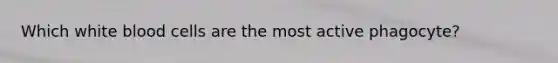 Which white blood cells are the most active phagocyte?