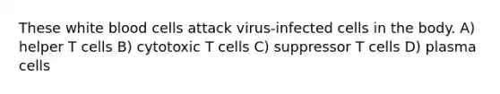 These white blood cells attack virus-infected cells in the body. A) helper T cells B) cytotoxic T cells C) suppressor T cells D) plasma cells