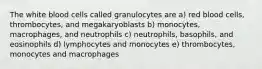 The white blood cells called granulocytes are a) red blood cells, thrombocytes, and megakaryoblasts b) monocytes, macrophages, and neutrophils c) neutrophils, basophils, and eosinophils d) lymphocytes and monocytes e) thrombocytes, monocytes and macrophages