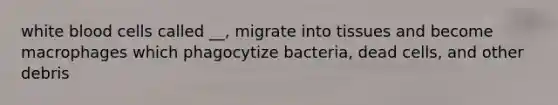 white blood cells called __, migrate into tissues and become macrophages which phagocytize bacteria, dead cells, and other debris