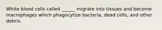 White blood cells called ______ migrate into tissues and become macrophages which phagocytize bacteria, dead cells, and other debris.