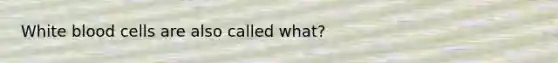 White blood cells are also called what?