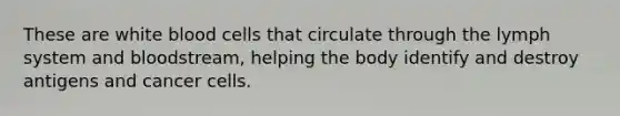 These are white blood cells that circulate through the lymph system and bloodstream, helping the body identify and destroy antigens and cancer cells.