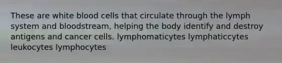 These are white blood cells that circulate through the lymph system and bloodstream, helping the body identify and destroy antigens and cancer cells. lymphomaticytes lymphaticcytes leukocytes lymphocytes