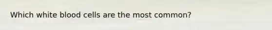 Which white blood cells are the most common?