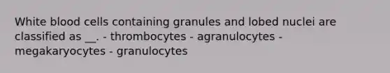 White blood cells containing granules and lobed nuclei are classified as __. - thrombocytes - agranulocytes - megakaryocytes - granulocytes