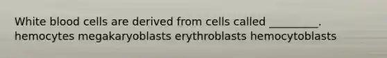 White blood cells are derived from cells called _________. hemocytes megakaryoblasts erythroblasts hemocytoblasts