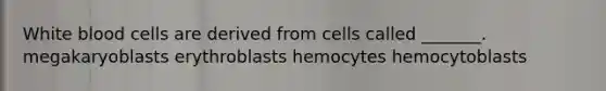 White blood cells are derived from cells called _______. megakaryoblasts erythroblasts hemocytes hemocytoblasts