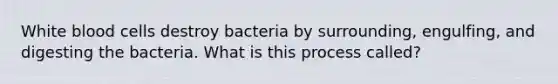 White blood cells destroy bacteria by surrounding, engulfing, and digesting the bacteria. What is this process called?