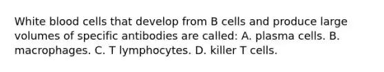 White blood cells that develop from B cells and produce large volumes of specific antibodies are called: A. plasma cells. B. macrophages. C. T lymphocytes. D. killer T cells.