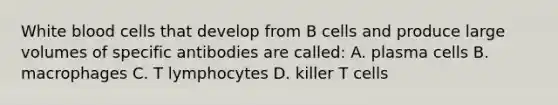 White blood cells that develop from B cells and produce large volumes of specific antibodies are called: A. plasma cells B. macrophages C. T lymphocytes D. killer T cells