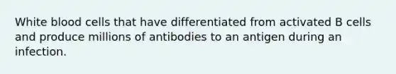 White blood cells that have differentiated from activated B cells and produce millions of antibodies to an antigen during an infection.