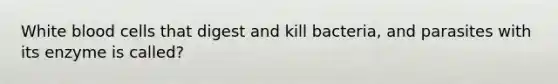 White blood cells that digest and kill bacteria, and parasites with its enzyme is called?