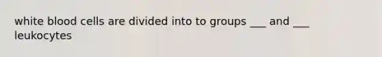 white blood cells are divided into to groups ___ and ___ leukocytes