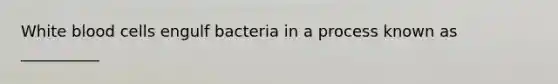 White blood cells engulf bacteria in a process known as __________