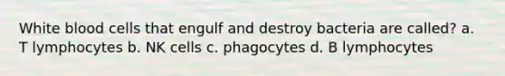 White blood cells that engulf and destroy bacteria are called? a. T lymphocytes b. NK cells c. phagocytes d. B lymphocytes