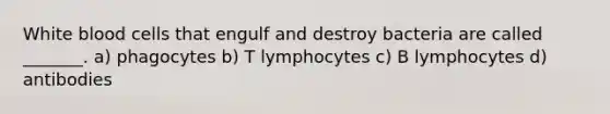 White blood cells that engulf and destroy bacteria are called _______. a) phagocytes b) T lymphocytes c) B lymphocytes d) antibodies