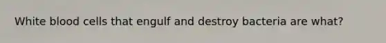 White blood cells that engulf and destroy bacteria are what?