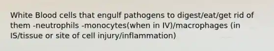 White Blood cells that engulf pathogens to digest/eat/get rid of them -neutrophils -monocytes(when in IV)/macrophages (in IS/tissue or site of cell injury/inflammation)