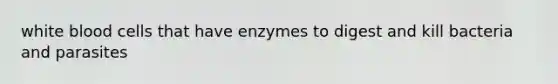 white blood cells that have enzymes to digest and kill bacteria and parasites