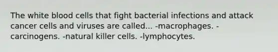 The white blood cells that fight bacterial infections and attack cancer cells and viruses are called... -macrophages. -carcinogens. -natural killer cells. -lymphocytes.