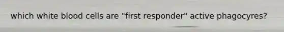 which white blood cells are "first responder" active phagocyres?